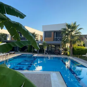 book here
